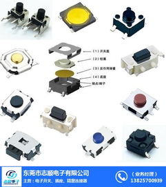東莞市志順電子 專業(yè)供應硅膠輕觸開關，連接珠海等地的可靠批發(fā)合作伙伴
